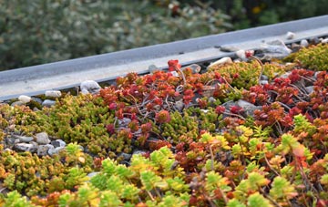 the cost of Craigmaud green roof installation