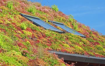 Craigmaud living roof systems
