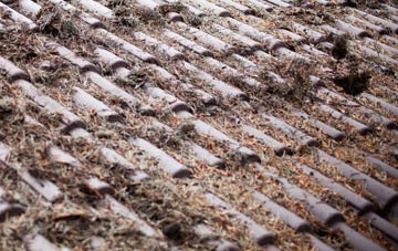 Craigmaud roof cleaning companies